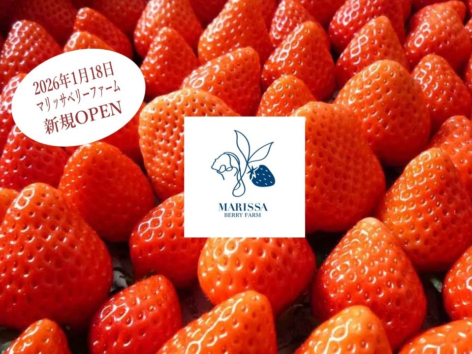 マリッサリゾート サザンセト周防大島 【1・2月限定／いちご農園OPEN記念】いちご狩り＆40分食べ放題付★ご夕食はスタンダードフレンチ