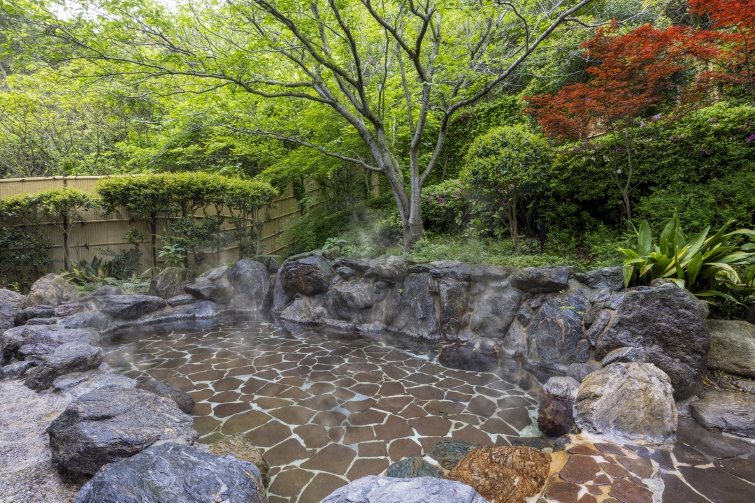 メルキュール福岡宗像リゾート＆スパ 【早期割15】15日前までの予約がお得！／素泊まり・ラウンジアクセス付