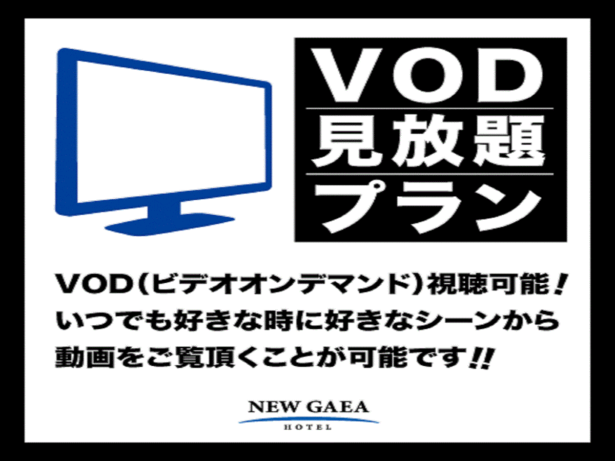 ホテルニューガイア柳川 【VOD】ビデオシアター見放題プラン