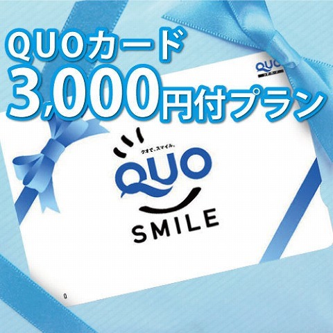 レフ熊本ｂｙベッセルホテルズ コンビニなどで使えるQUOカード3000円付プラン【素泊り】