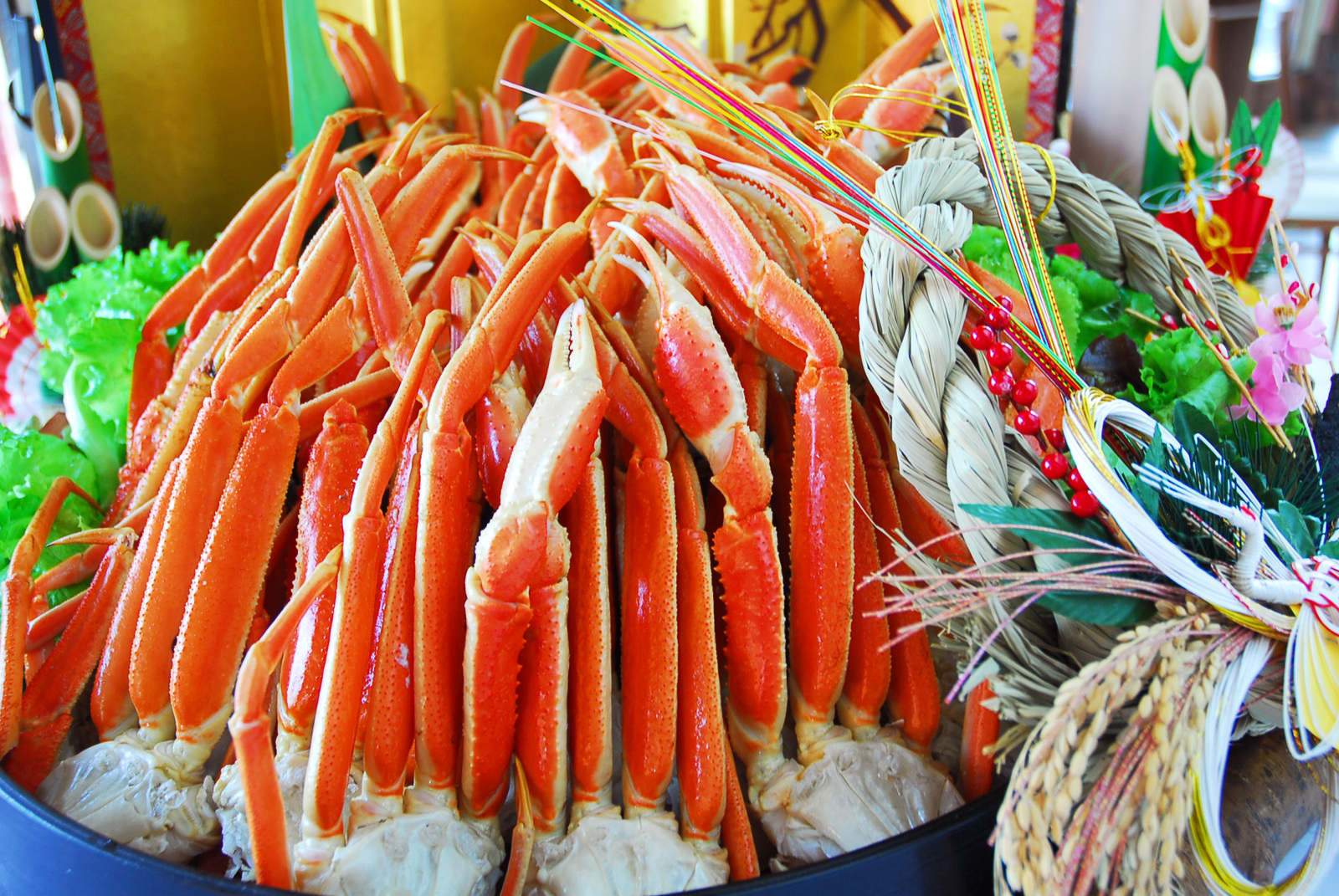 大自然阿蘇健康の森 阿蘇の大自然と温泉で過ごす年末＆お正月プラン（2食付）