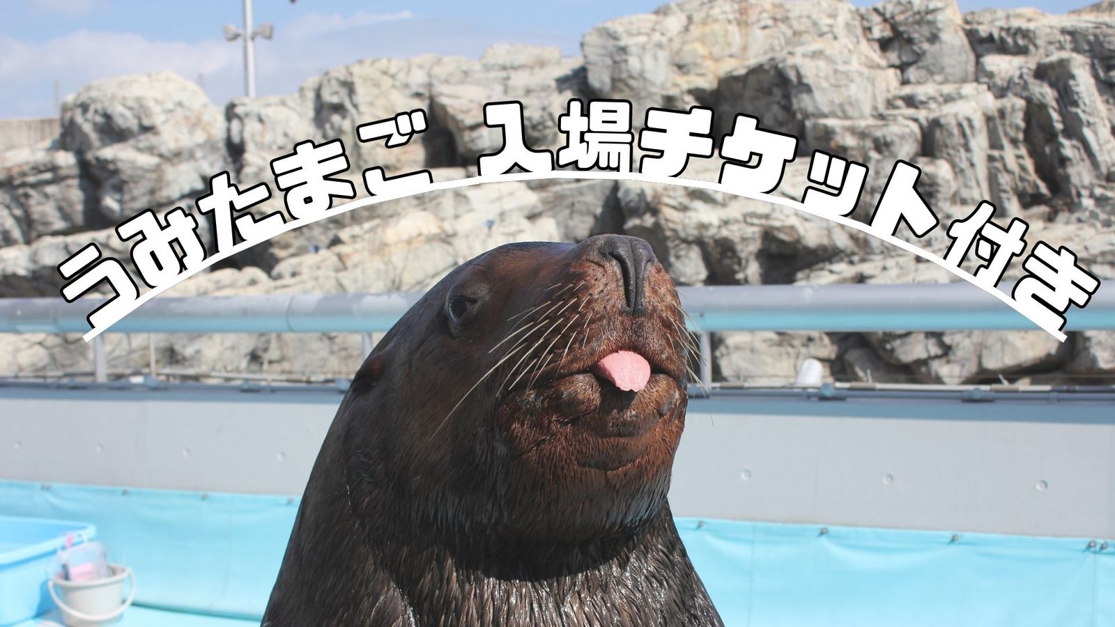 ゆとりろ別府 【うみたまごのチケット付き】旅行の予定はこれで決まり！＜■特選極み会席＞