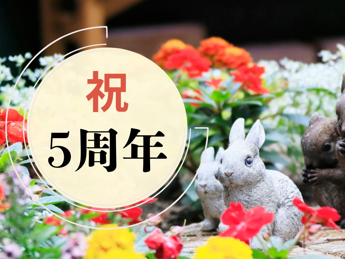 別府風雅 【祝５周年】くじ引きで一品料理が当たる！4大特典付き＜スタンダードコース■＞