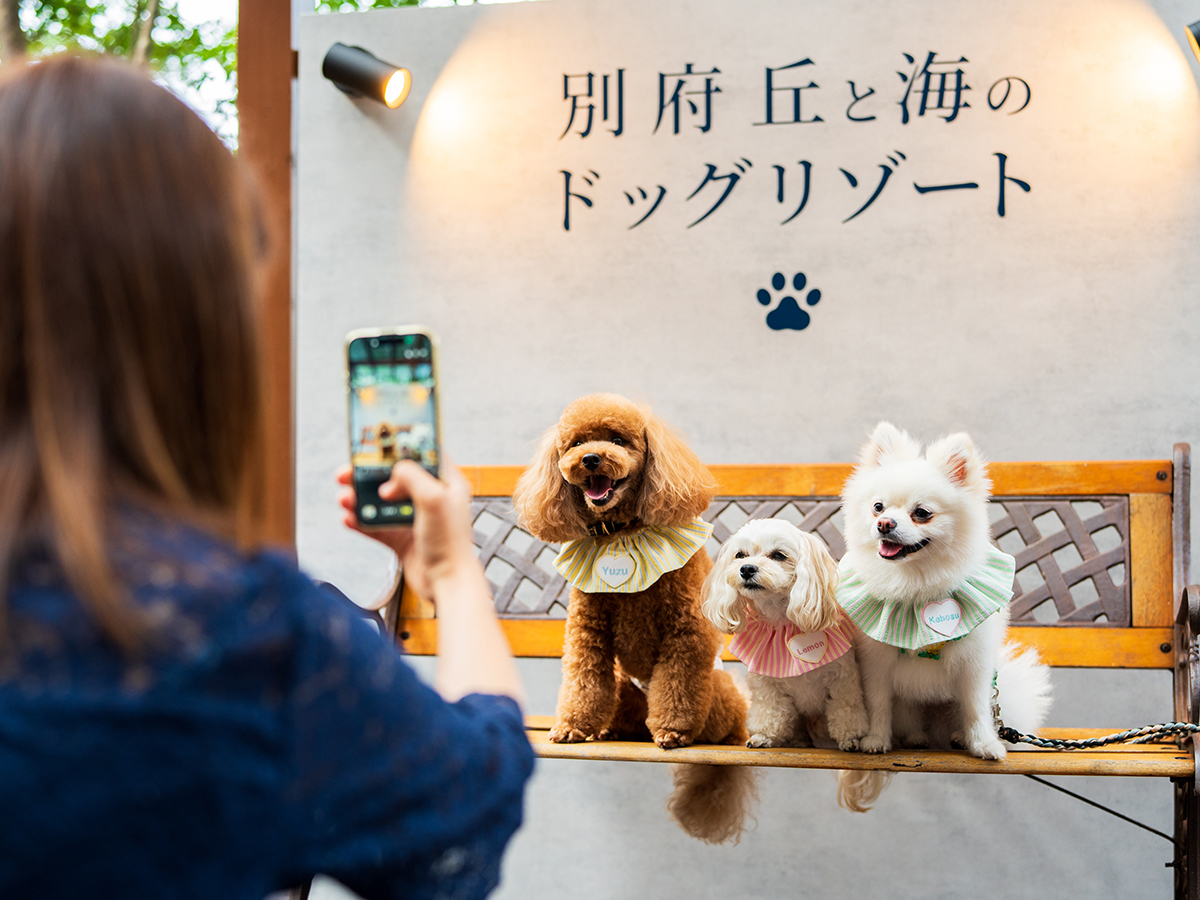 別府 丘と海のドッグリゾート 【素泊まり】チェックイン22時まで／愛犬とすごす静かな別府ステイ＜食事なし＞