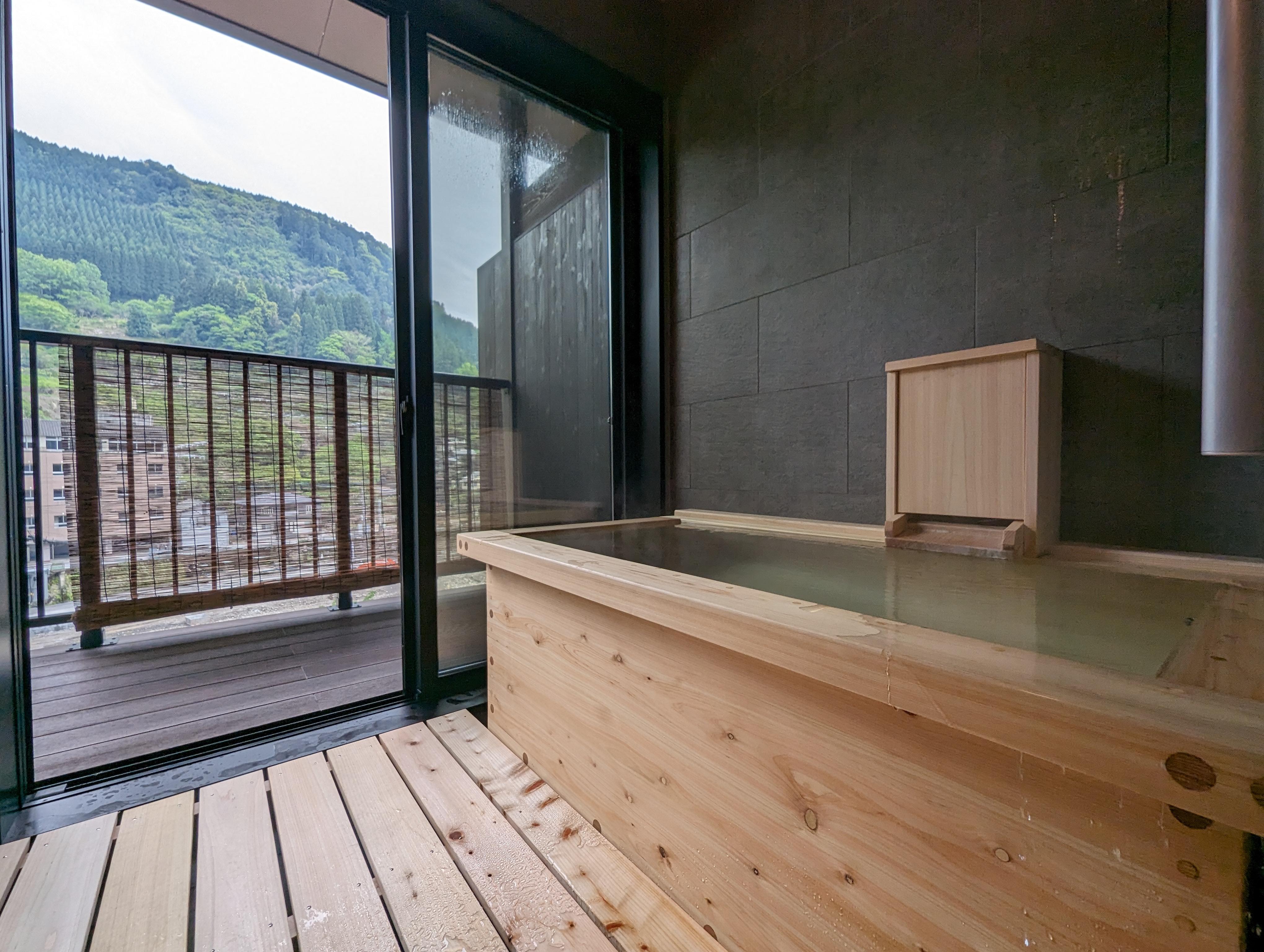 ryokan 天龍 501／温泉付デラックスツイン（電動ベッド）