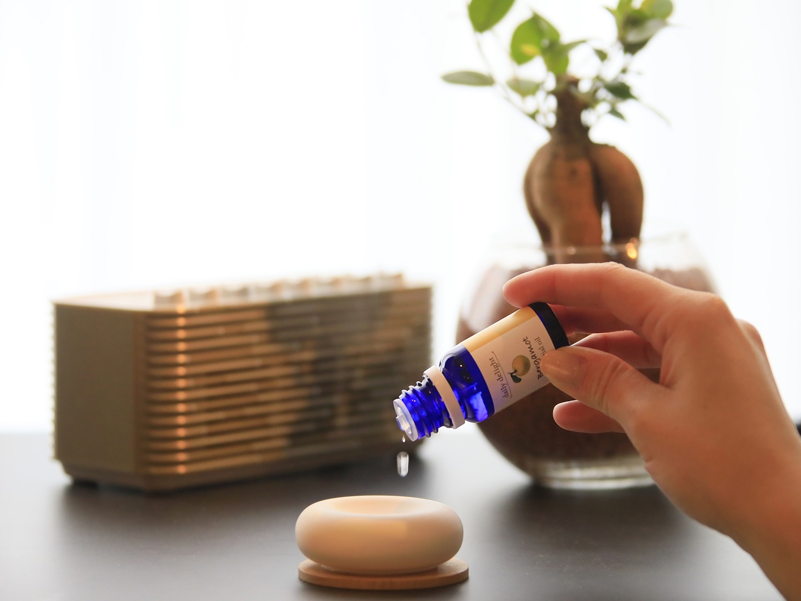 クインテッサホテル鹿児島天文館 Relax&Sleep 【スタンダードプラン】上質な睡眠・出張の疲れを癒します。(素泊まり)