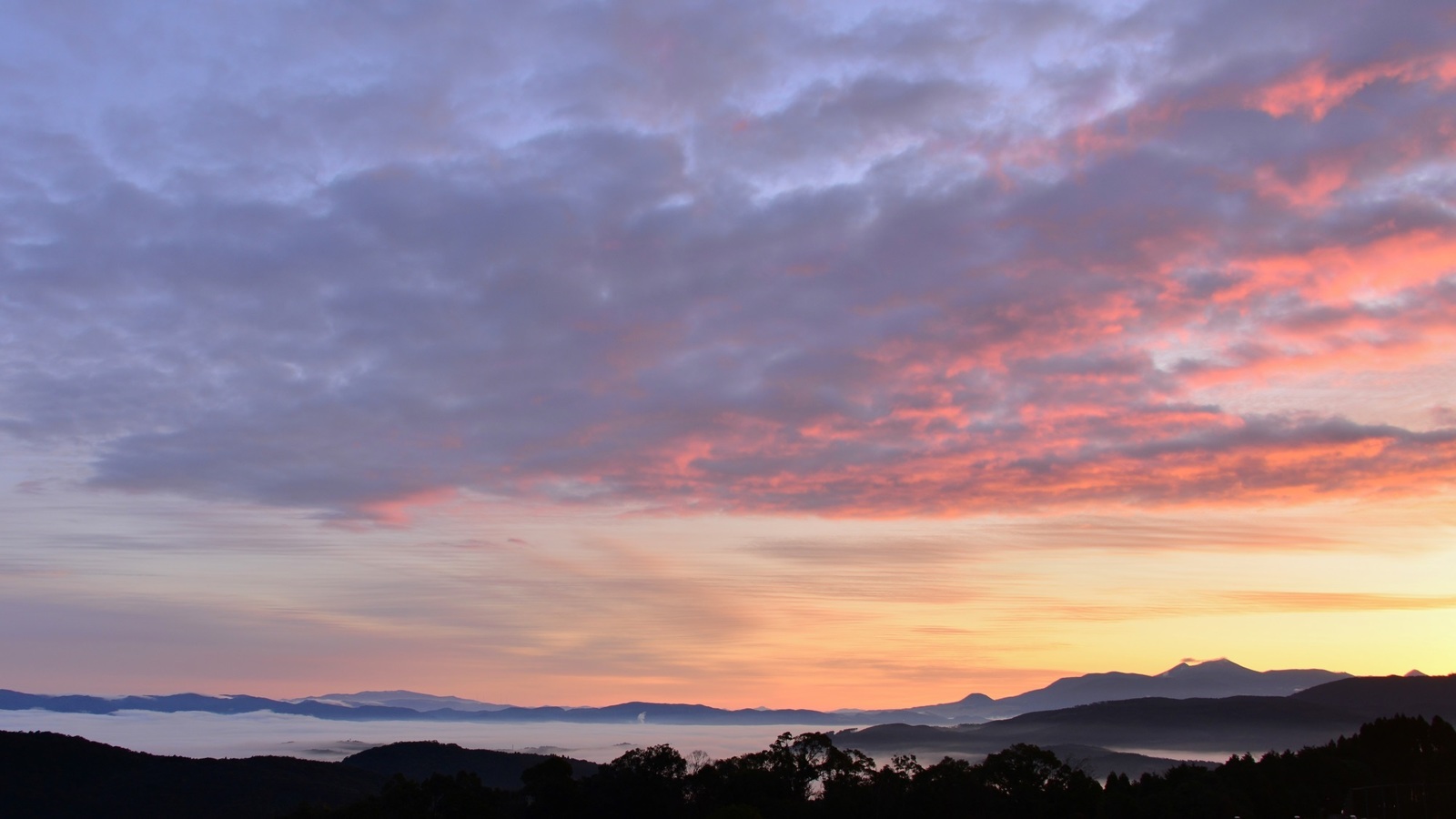 さつまリゾートホテル  【黒毛和牛のすき焼きコース】メインはすき焼き！肉の旨みと甘口ダレの調和を味わう
