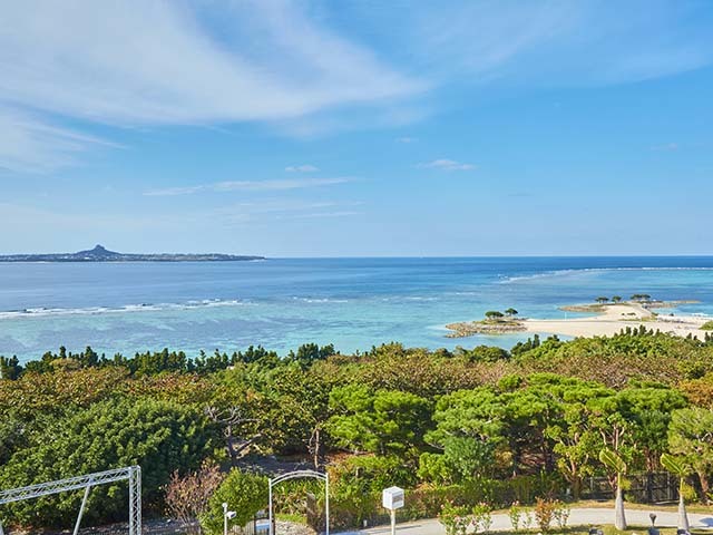 ロイヤルビューホテル美ら海 【シングルプラン】沖縄北部（やんばる）各地へのアクセス◎一人旅やビジネスに！（食事なし）