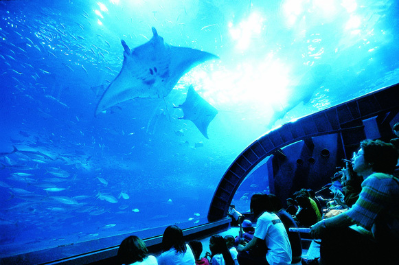 オキナワ グランメールリゾート 【美ら海水族館チケットプレゼント】沖縄の海の中を見てみよう♪感動体験を旅の思い出に☆朝食付