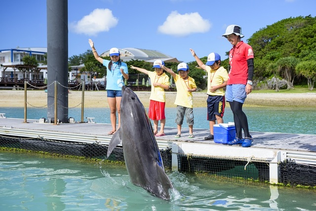 マリンピアザオキナワ 【家族旅行決定版】小さなお子様も楽しめるキッズルーム！島豚しゃぶしゃぶにお子様も喜ぶ手巻き寿司♪添い寝幼児のお子様にもチャレンジクーポンプレゼント！<2食付>