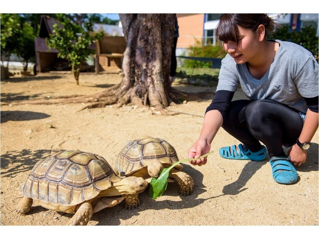 マリンピアザオキナワ 【家族旅行決定版】小さなお子様も楽しめるキッズルーム♪添い寝幼児のお子様にもチャレンジクーポンプレゼント！<朝食付>